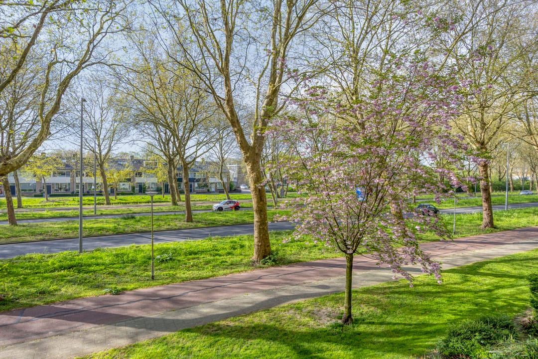 Foto 17 van Zernikeplaats 10