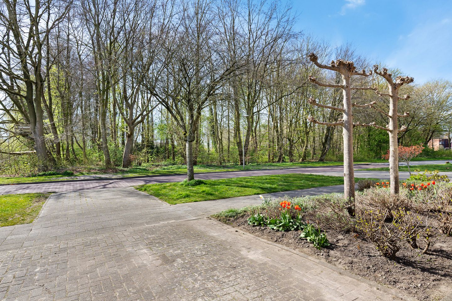 Foto 5 van Koning Radboudlaan 17