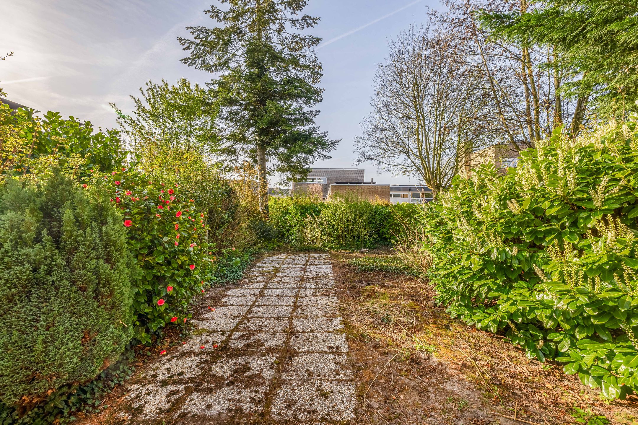 Foto 18 van Beatrixlaan 79