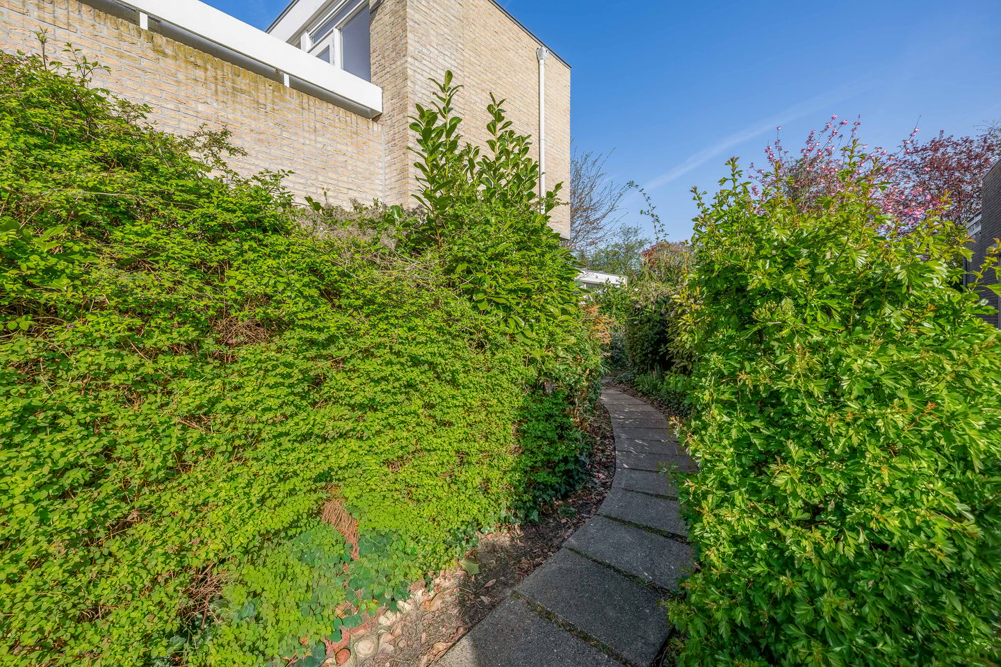 Foto 20 van Beatrixlaan 79