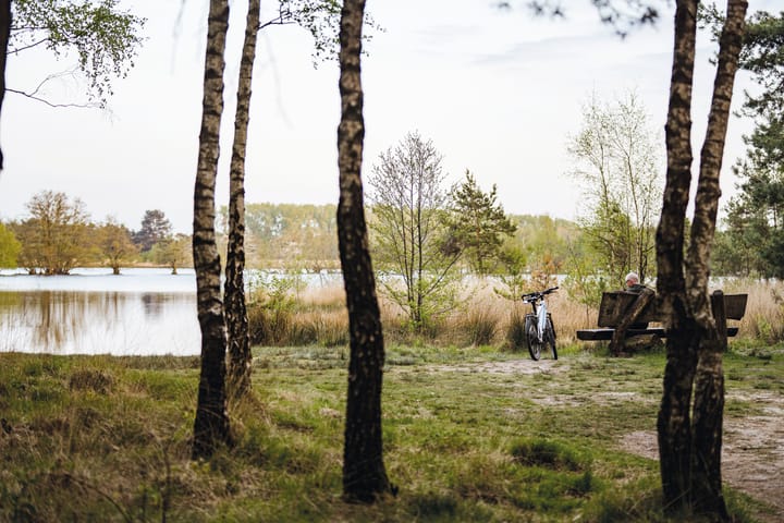 Foto 4 van Parc de Utrecht heidekavel 1