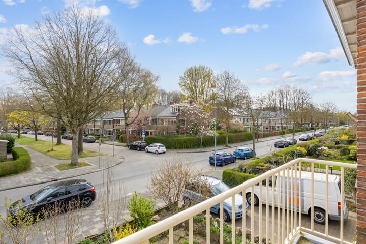 Foto 4 van Haydnlaan 23