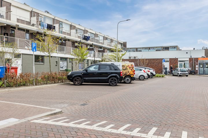 Foto 3 van Hoornesplein 75