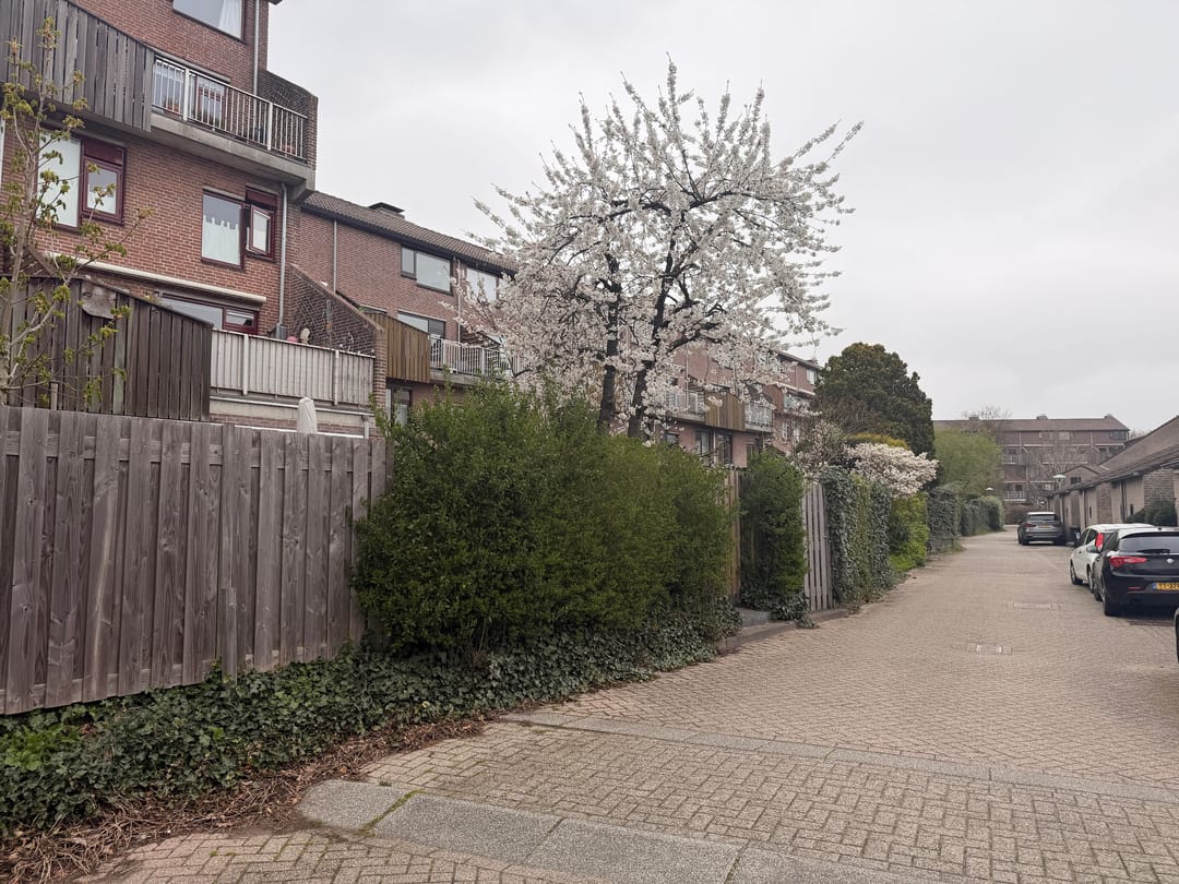 Foto 13 van Eduard Verkadelaan 67