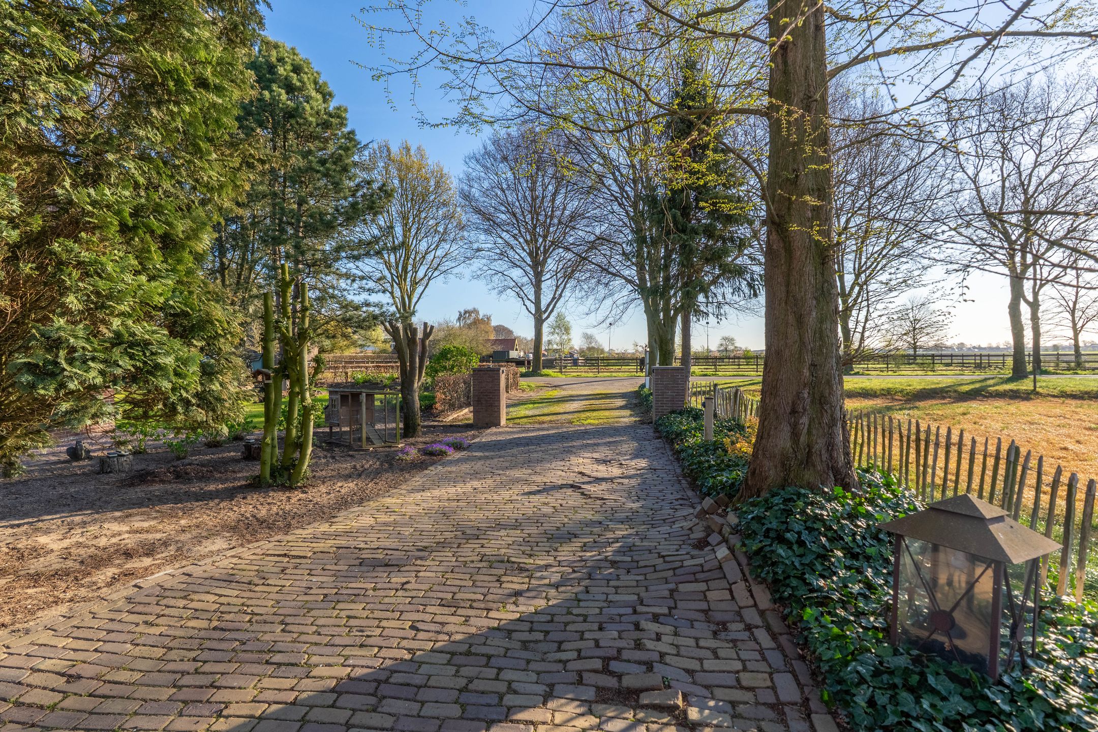 Foto 6 van Langstraat 2