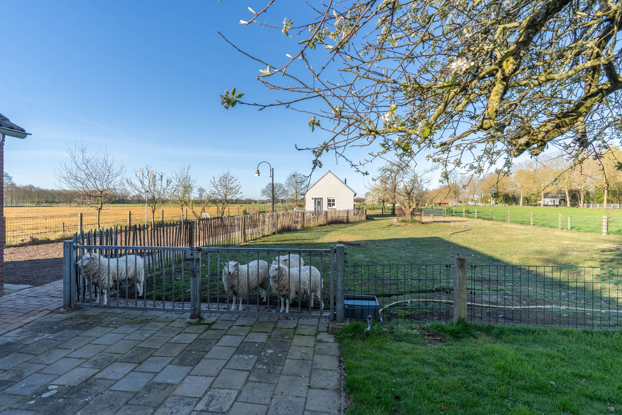 Foto 21 van Langstraat 2