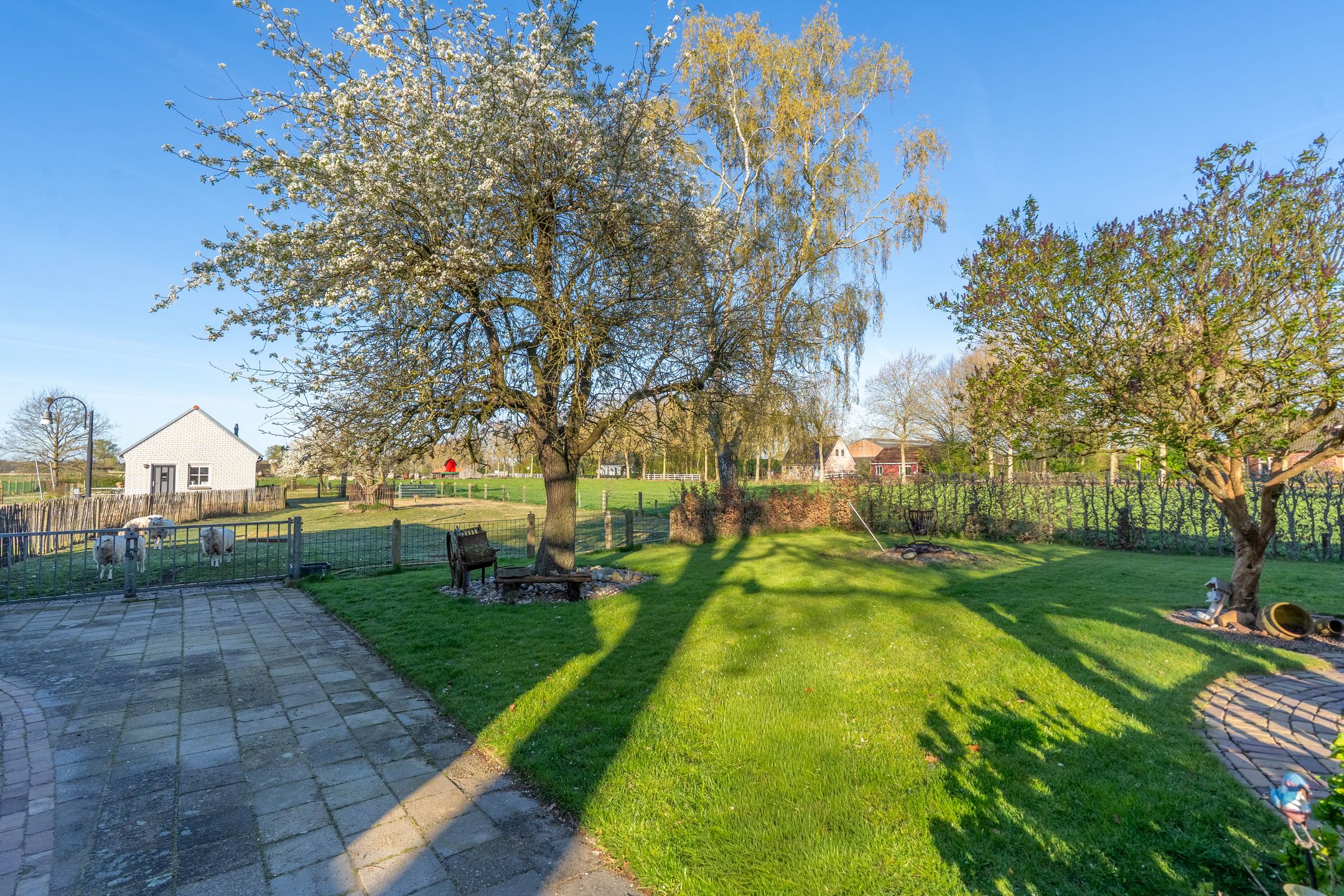 Foto 12 van Langstraat 2