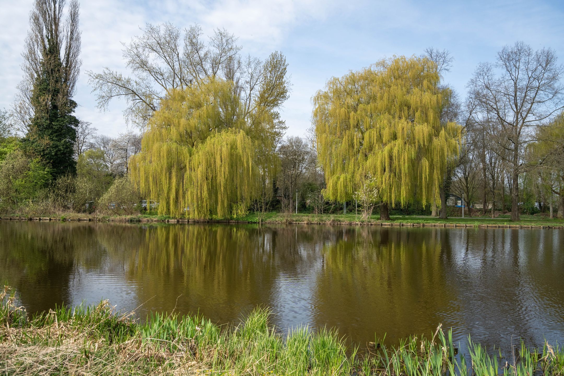Photo 33 of Merelstraat 50