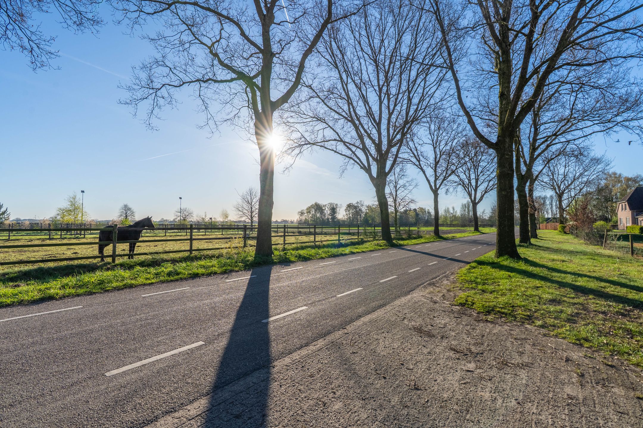 Foto 9 van Langstraat 2