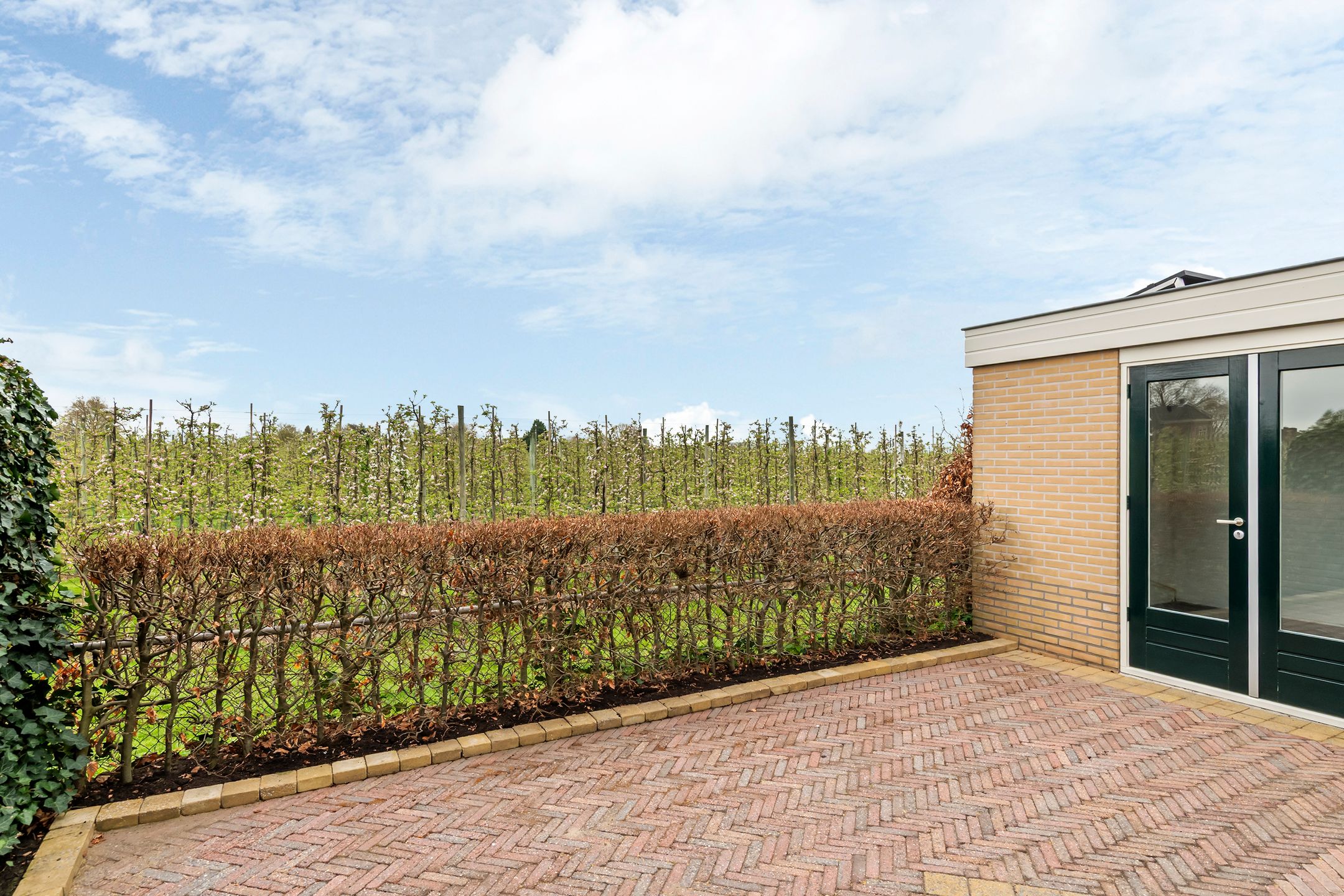 Charming Family Home with Orchard Views in Quiet Green Location — 21