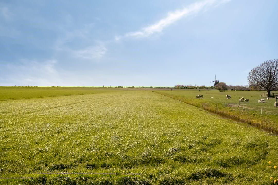 Photo 2 of Herenweg 25