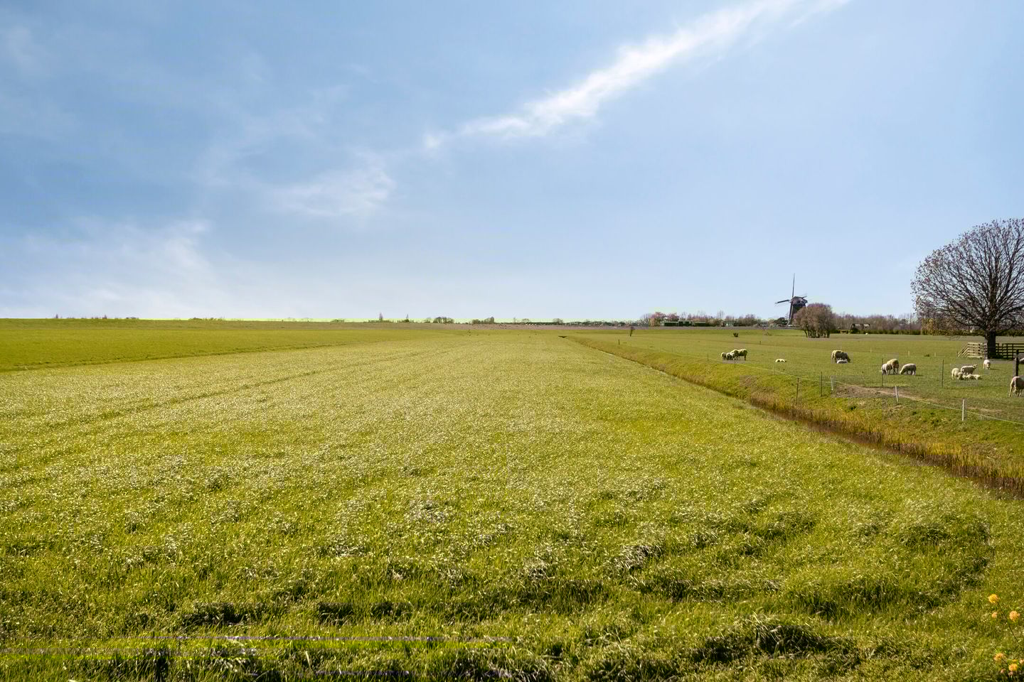 Photo 34 of Herenweg 25