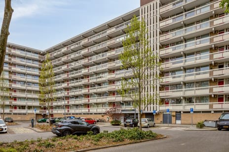 Zernikeplaats thumbnail