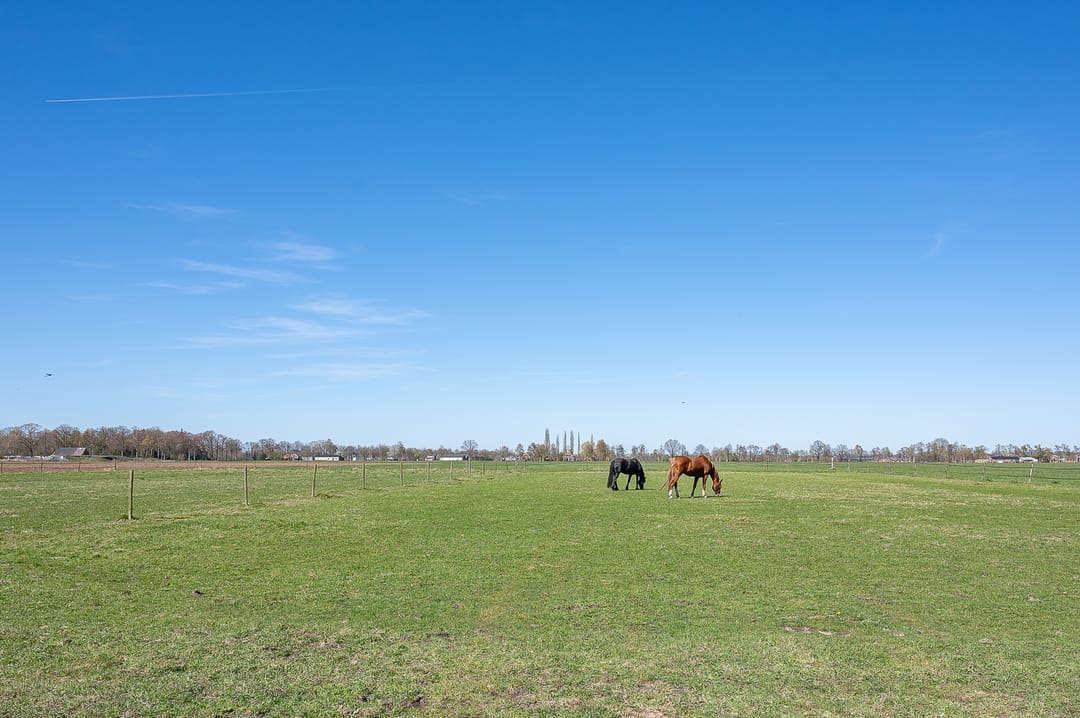 Foto 43 van Kuiperstraat 16