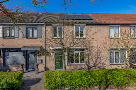 Dommelborch thumbnail