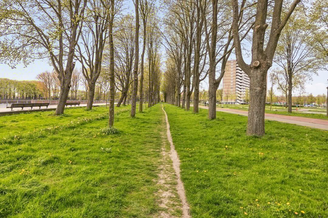 Foto 23 van Burgemeester Hogguerstraat 363