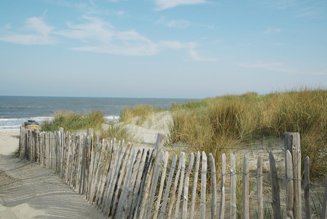 Foto 41 van Sinaasappelstraat 126