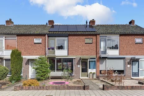 undefined main image