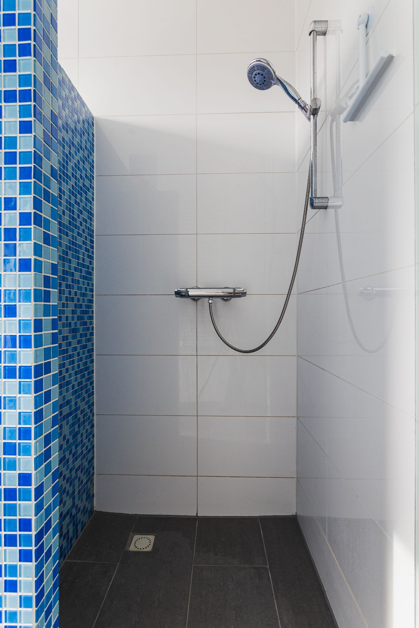 Foto 15 van Voorthuizenstraat 209