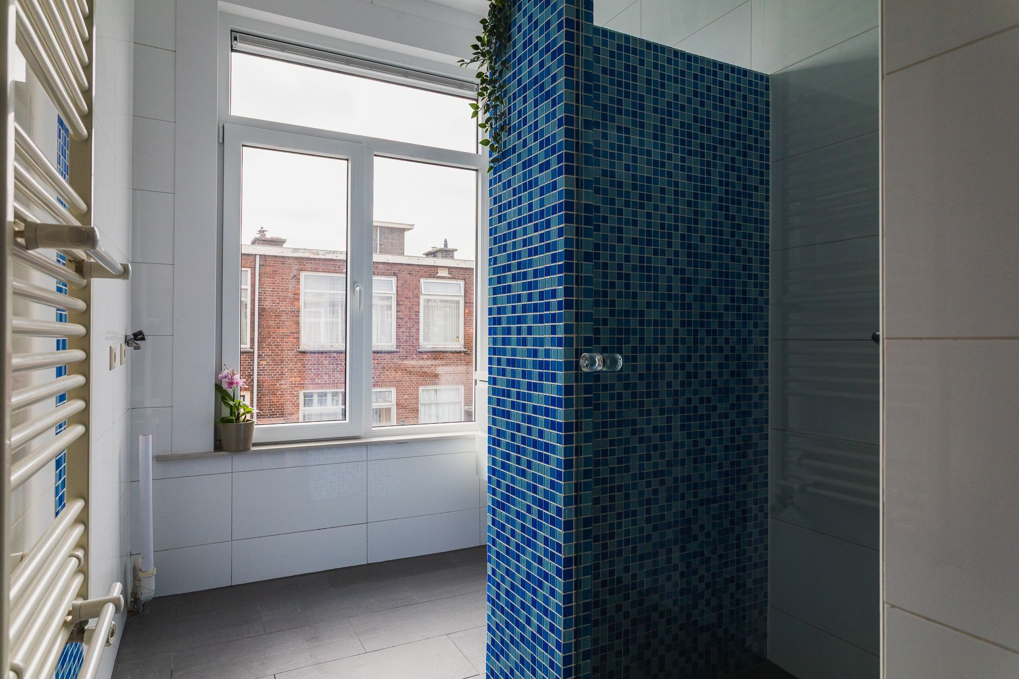 Foto 12 van Voorthuizenstraat 209