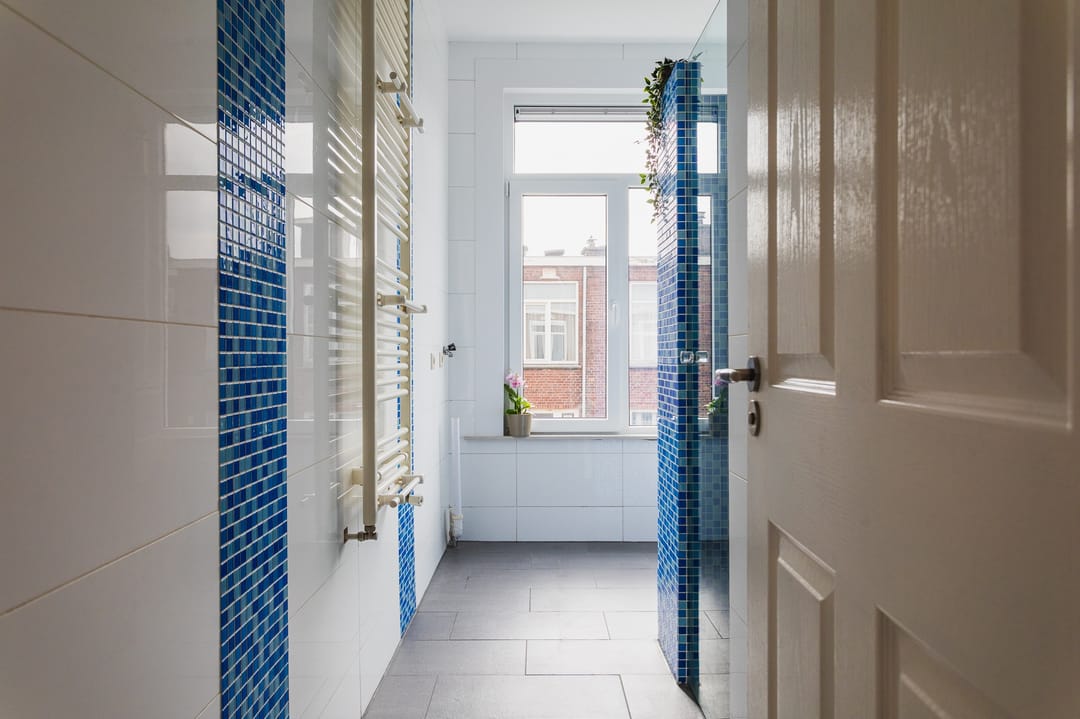 Foto 11 van Voorthuizenstraat 209