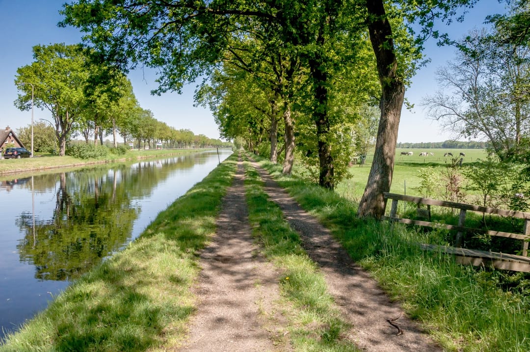 Foto 71 van Dwingelderdijk 1