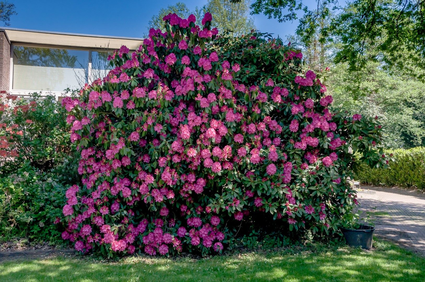 Foto 15 van Dwingelderdijk 1