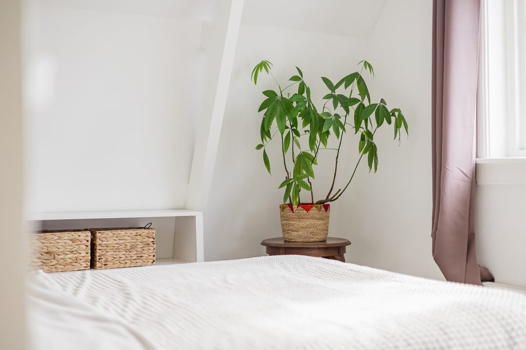 Foto 31 van Thialfweg 15