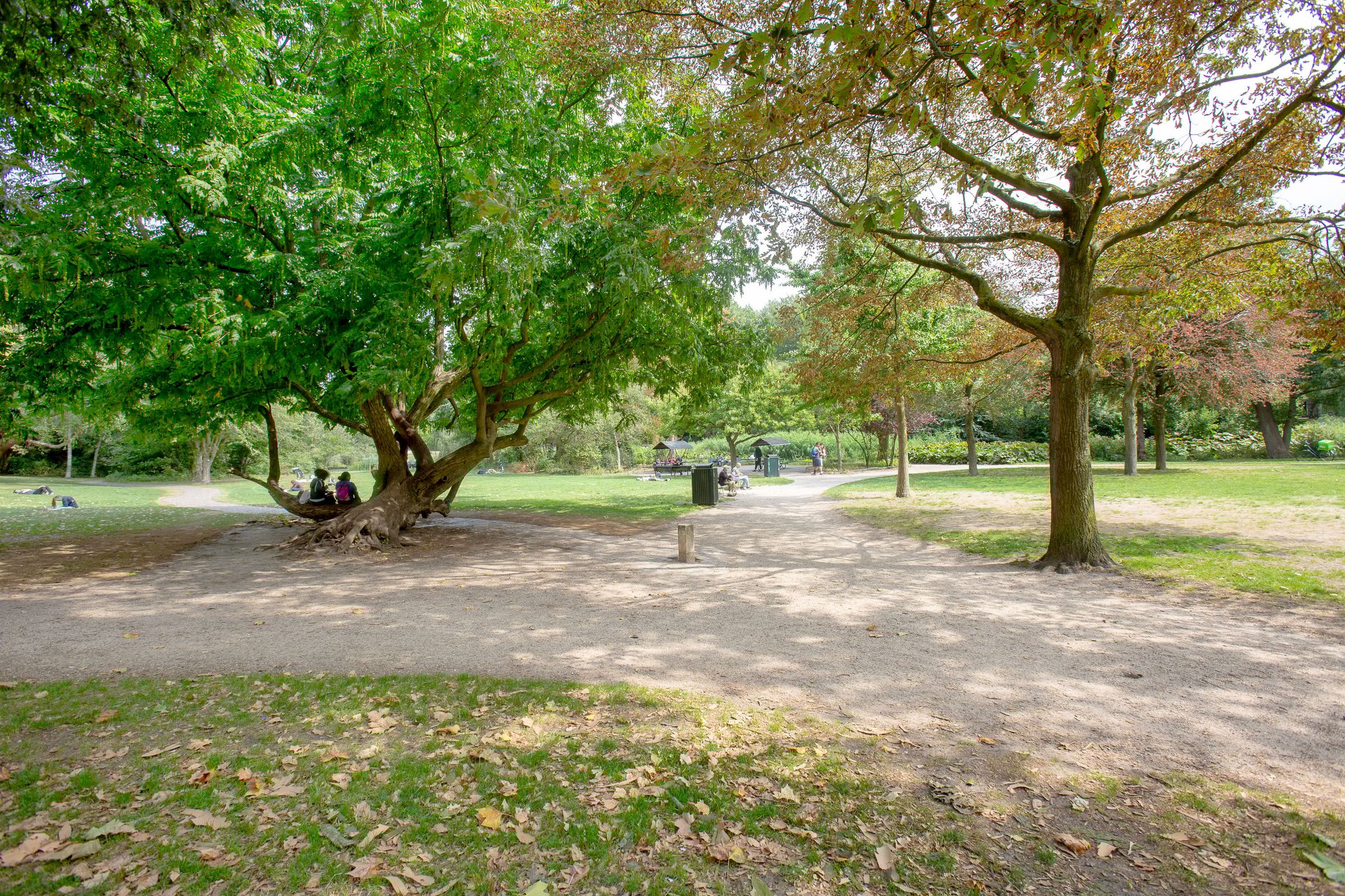 Foto 39 van Ceintuurbaan 213-4