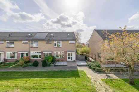 undefined main image