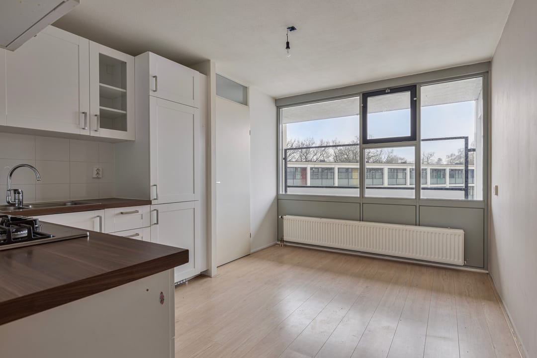 Foto 7 van Laan van de Mensenrechten 140