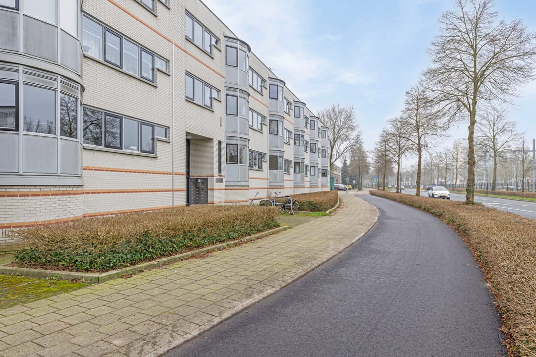 Foto 22 van Laan van de Mensenrechten 140