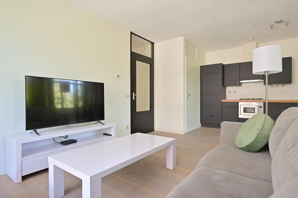 Foto 8 van Burgemeester De Monchyplein 213