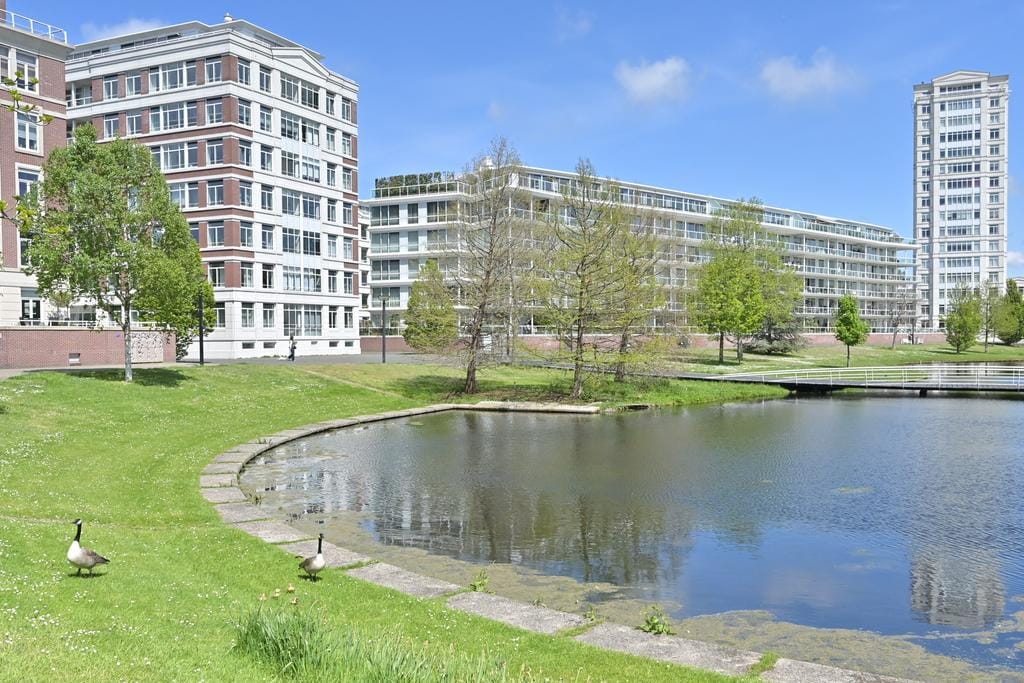 Foto 26 van Burgemeester De Monchyplein 213