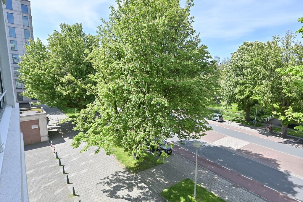 Foto 28 van Burgemeester De Monchyplein 213