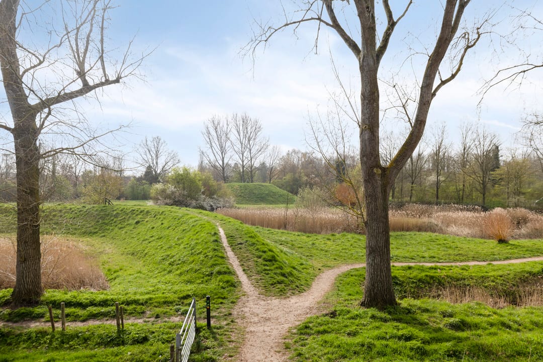 Foto 46 van Goese Dieplaan 14