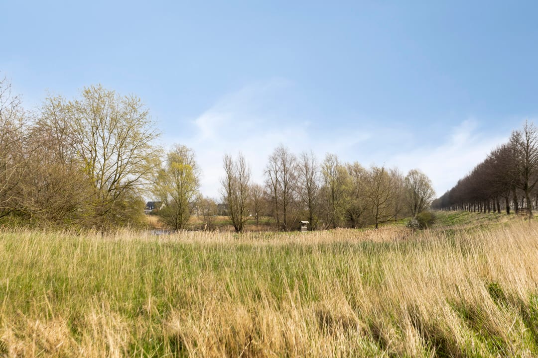 Foto 47 van Goese Dieplaan 14