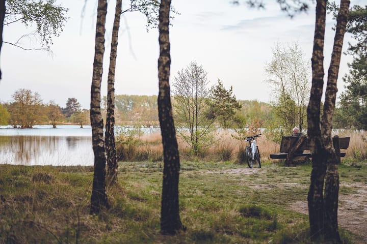 Foto 4 van Parc de Utrecht heidekavel 2