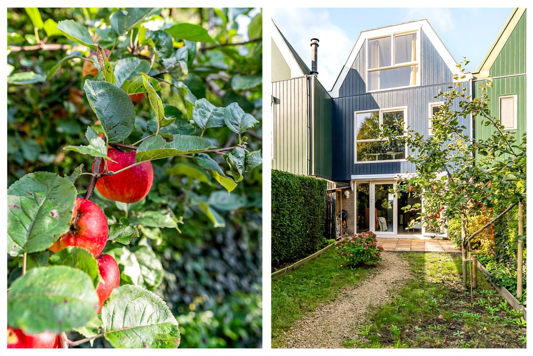 Foto 41 van Archipel 15 55