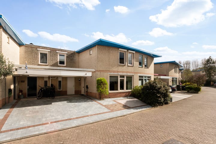 Foto 2 van Palissander 176