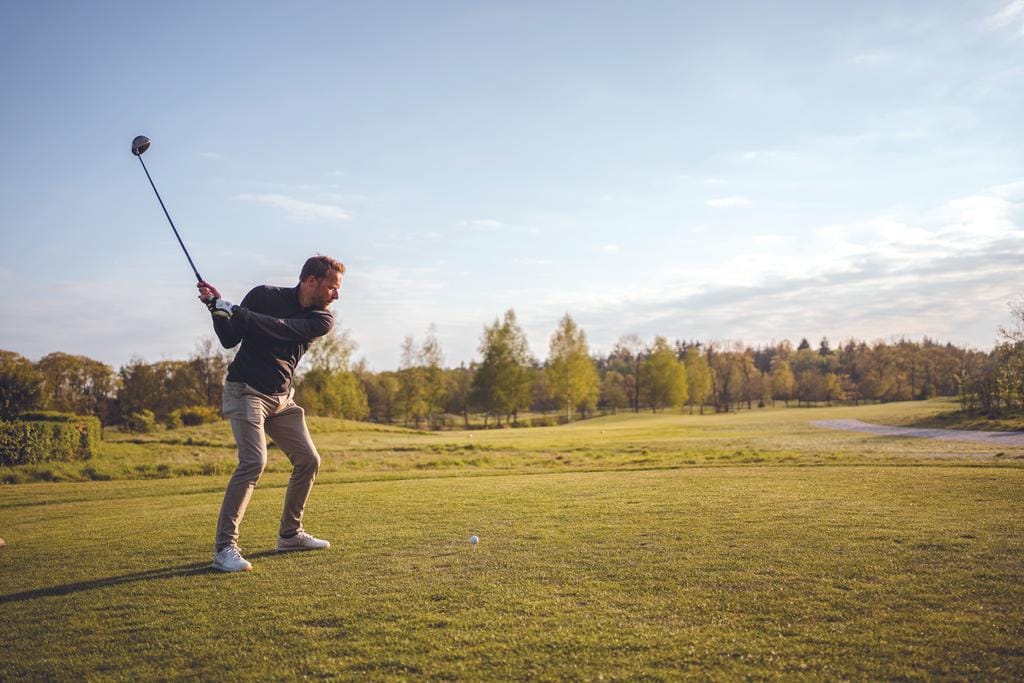 Photo 5 of Parc de Utrecht heidekavel 2