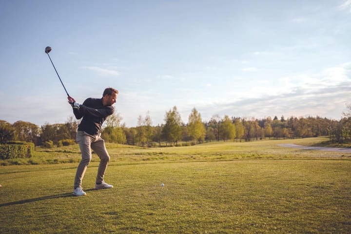 Foto 5 van Parc de Utrecht heidekavel 2