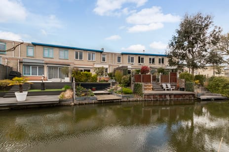 Palissander thumbnail