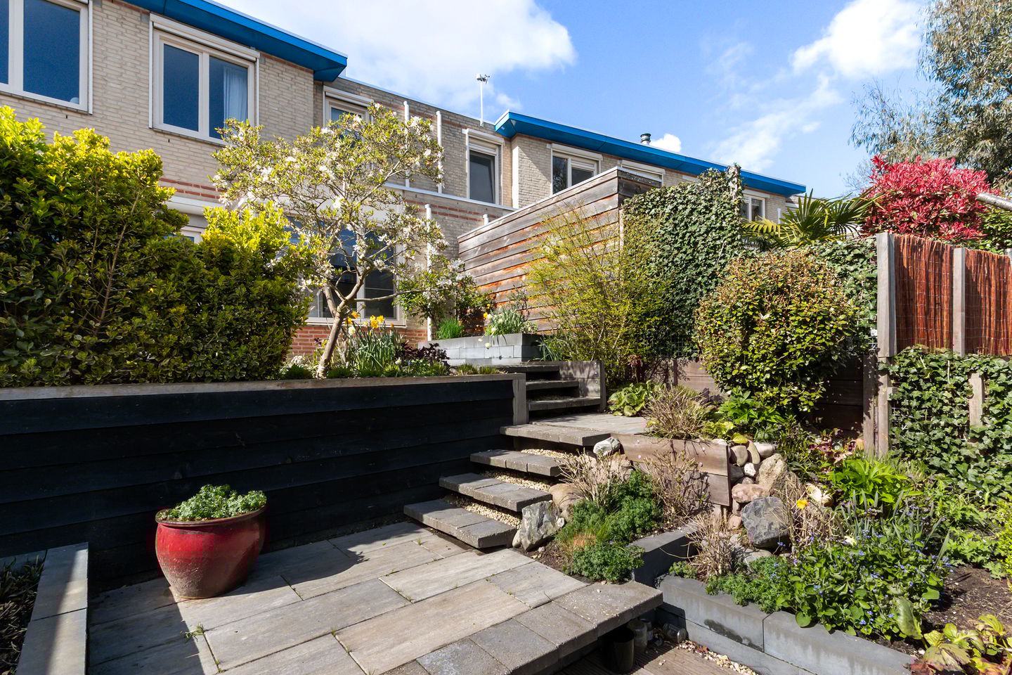 Photo 34 of Palissander 176