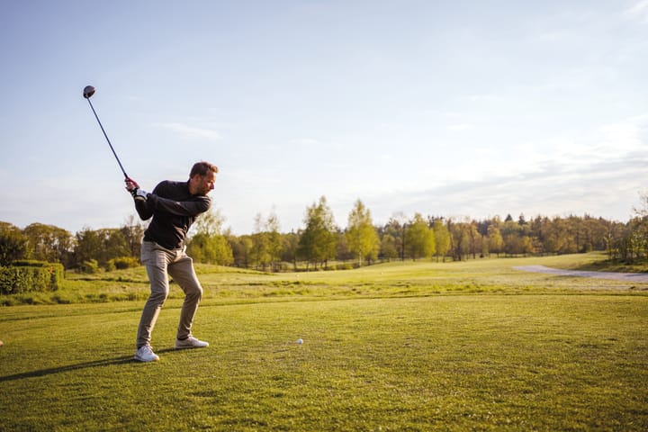 Foto 5 van Parc de Utrecht heidekavel 3