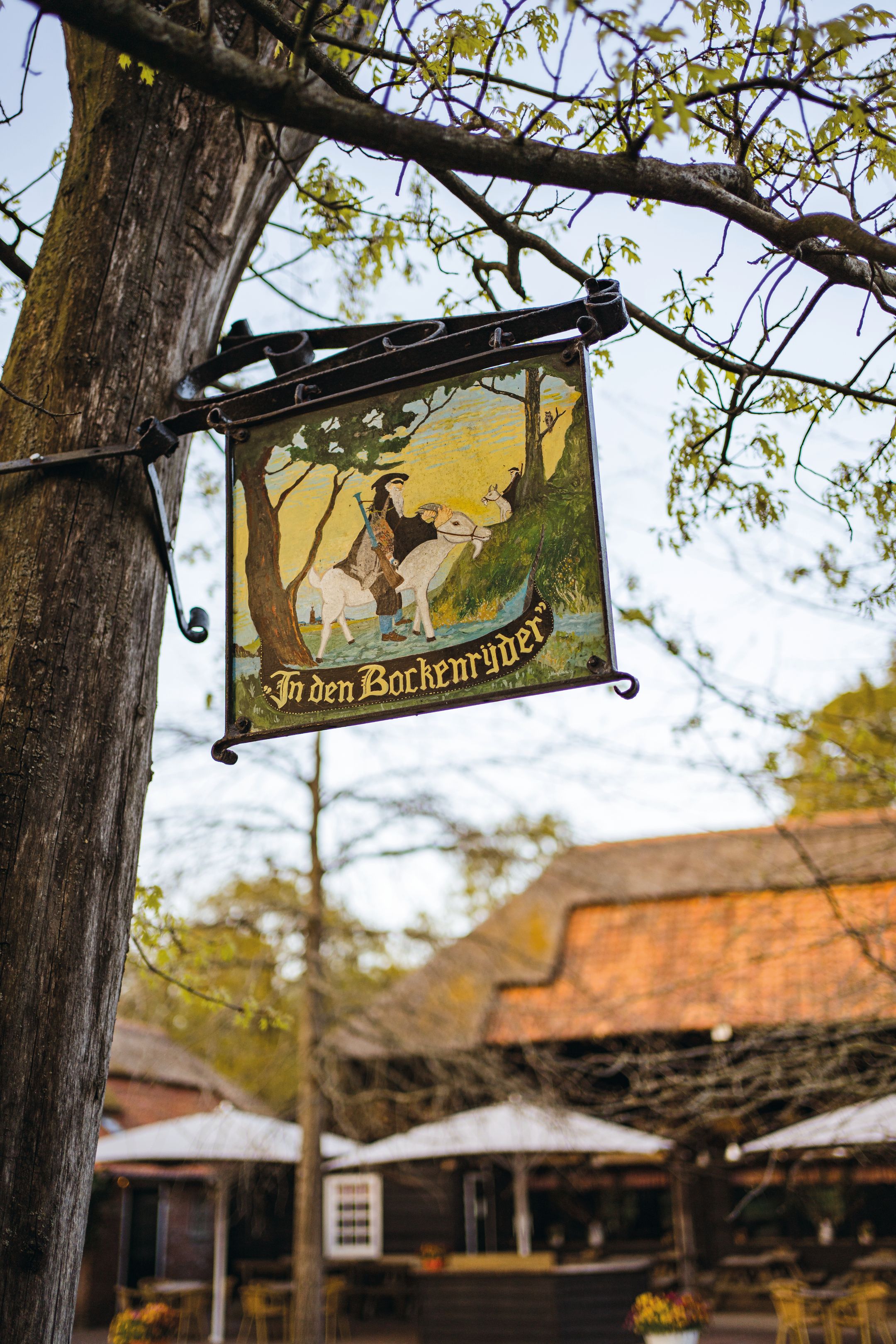 Photo 6 of Parc de Utrecht heidekavel 3