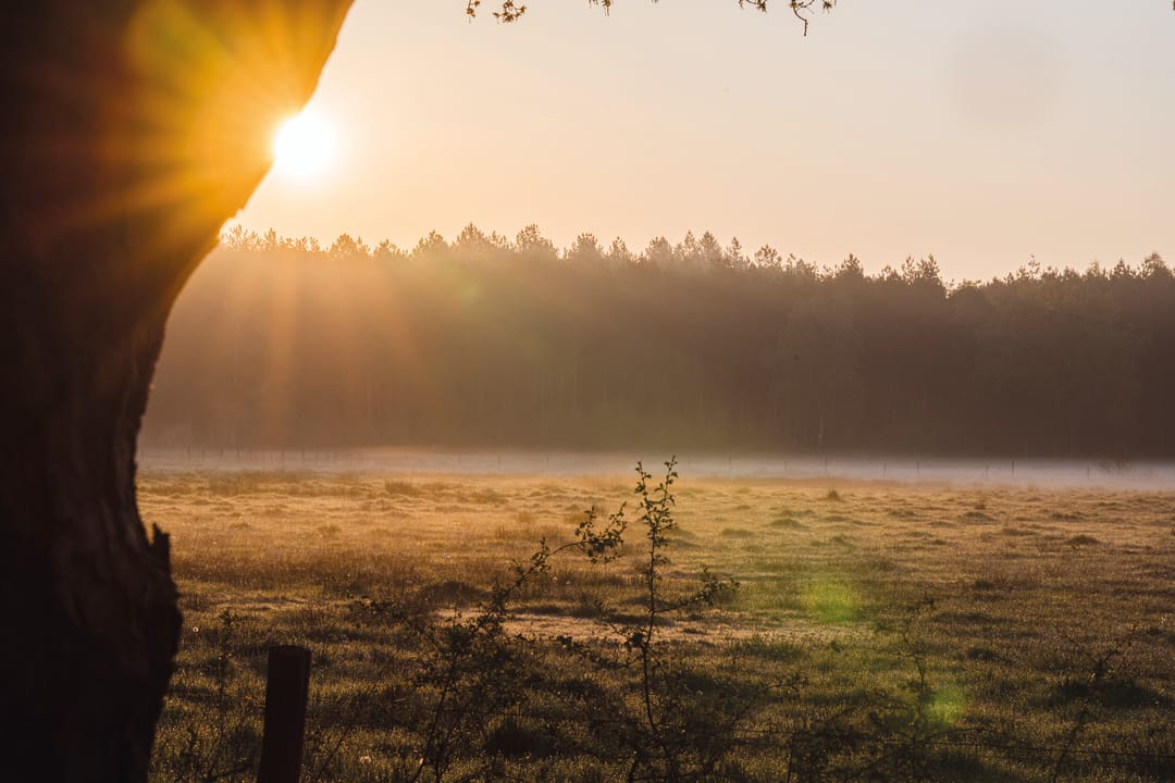 Photo 8 of Parc de Utrecht heidekavel 3