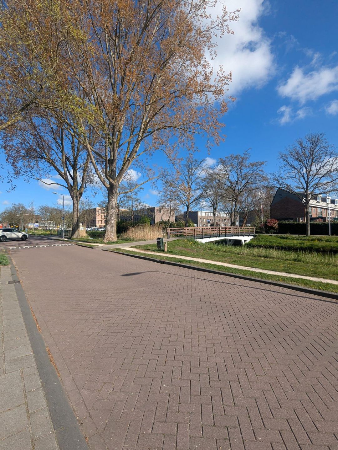 Foto 13 van Johannes Vermeerplantsoen 6