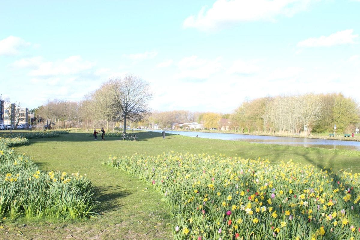 Foto 14 van Johannes Vermeerplantsoen 6