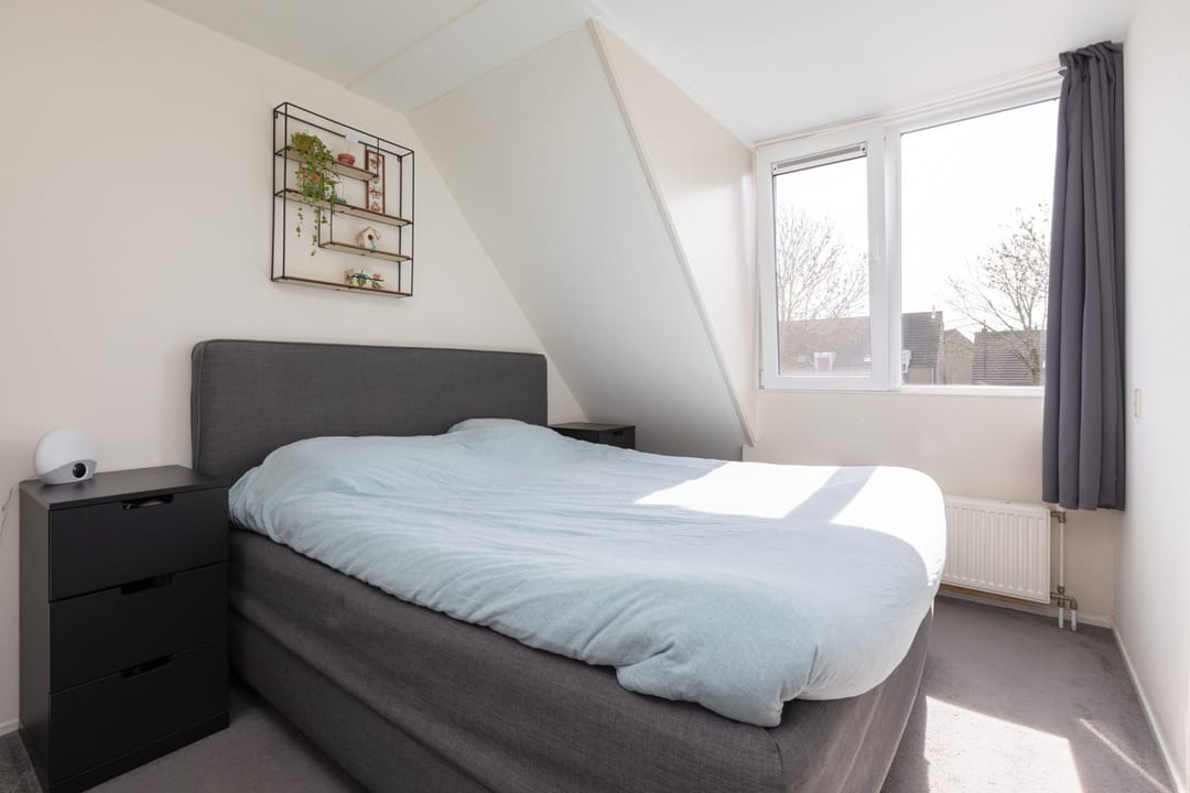 Foto 16 van Zonnedauw 10